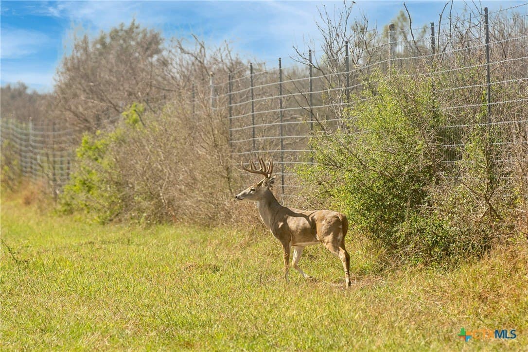 535 acres in Refugio County - photo 25
