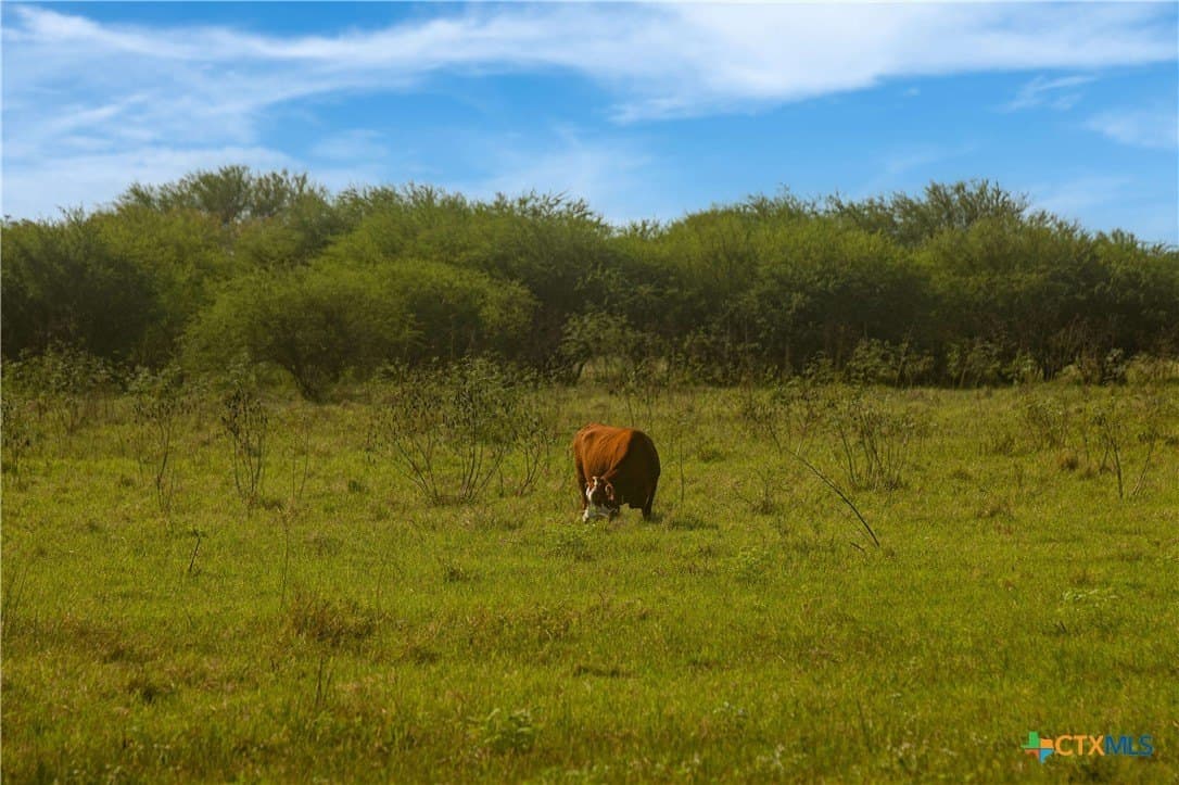 535 acres in Refugio County - photo 27