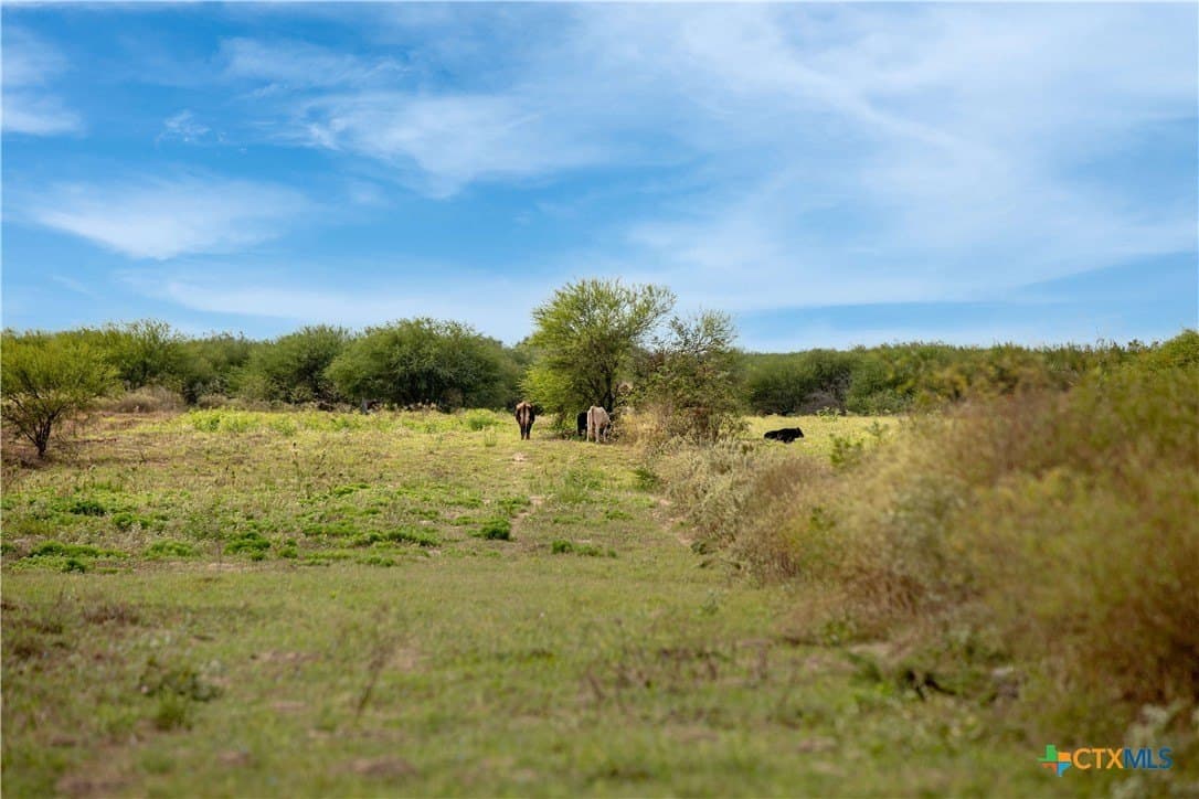 535 acres in Refugio County - photo 30