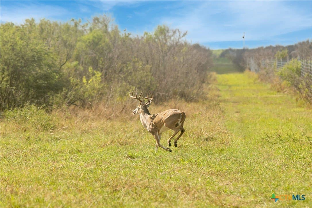 535 acres in Refugio County - photo 26
