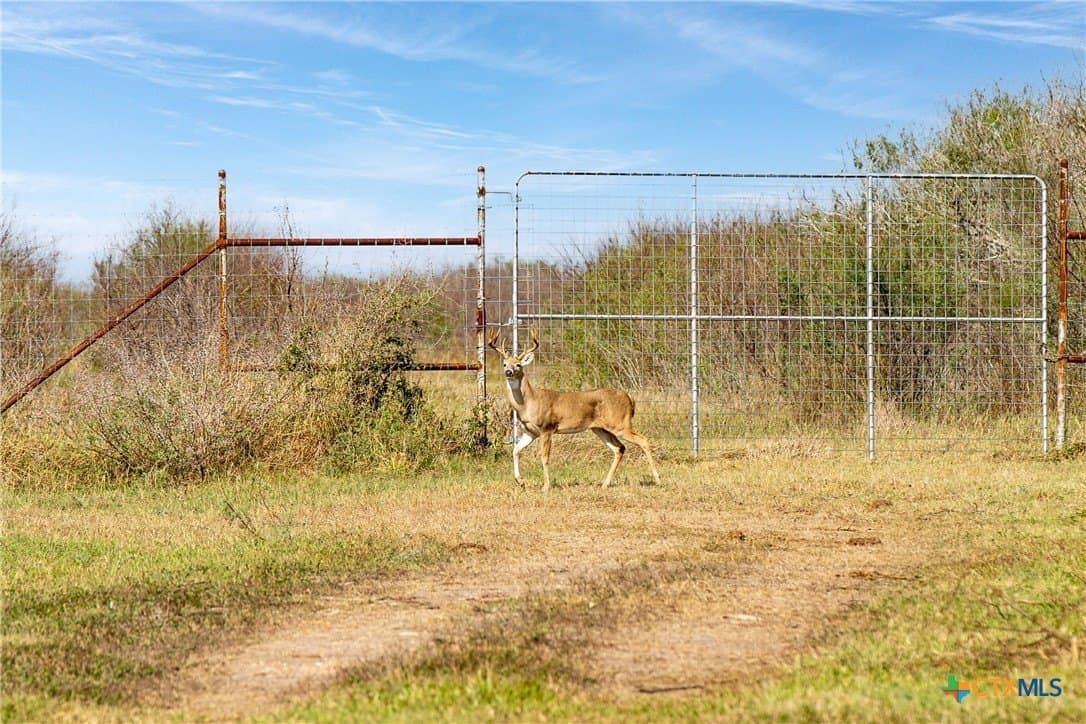 535 acres in Refugio County - photo 7