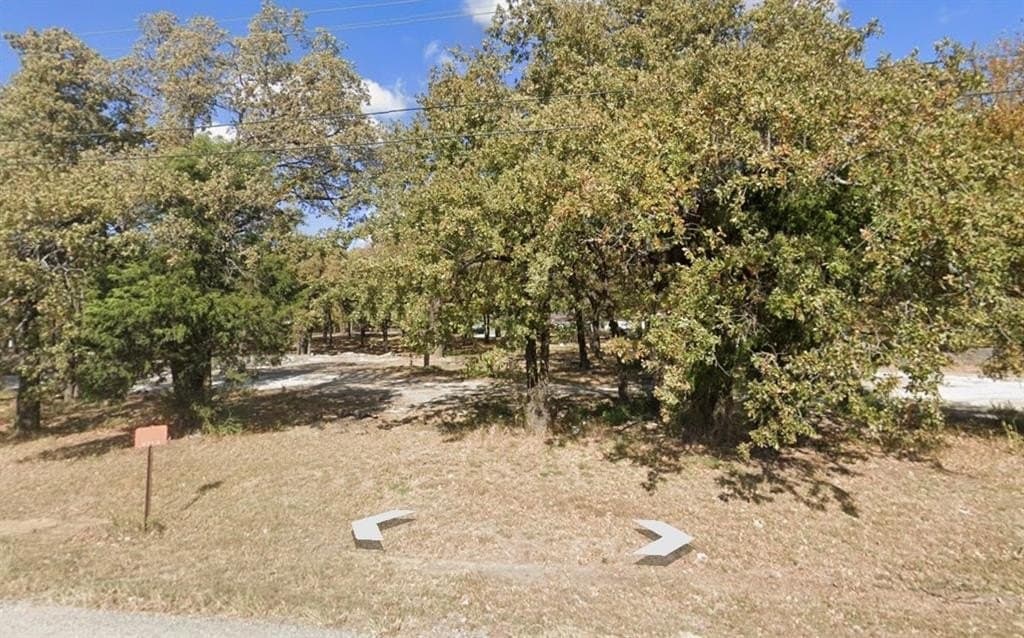 2.9 acres in Dallas County - photo 3