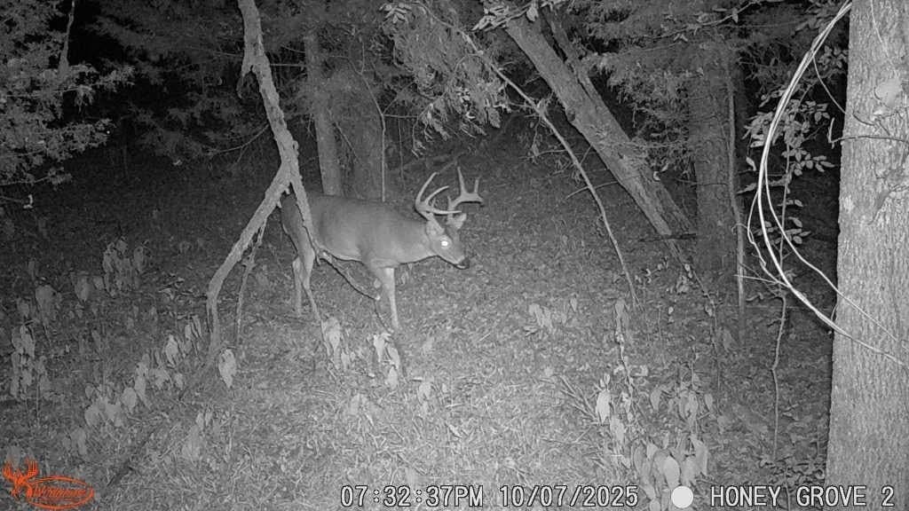 93.48 acres in Lamar County - photo 27