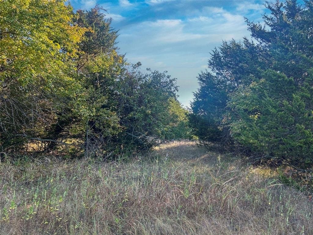 93.48 acres in Lamar County - photo 12