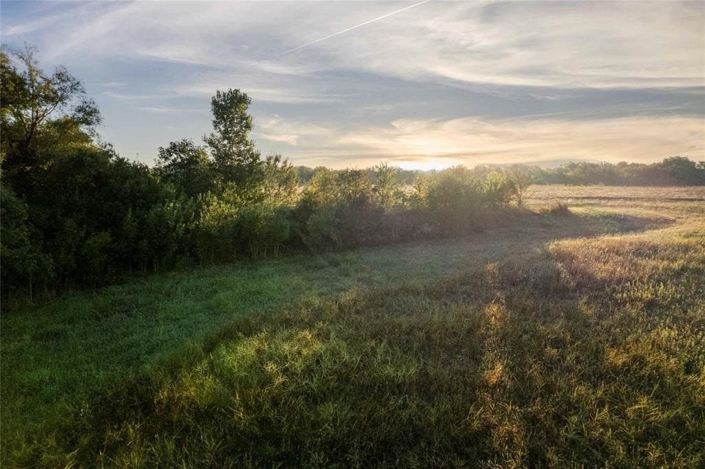 93.48 acres in Lamar County - photo 17