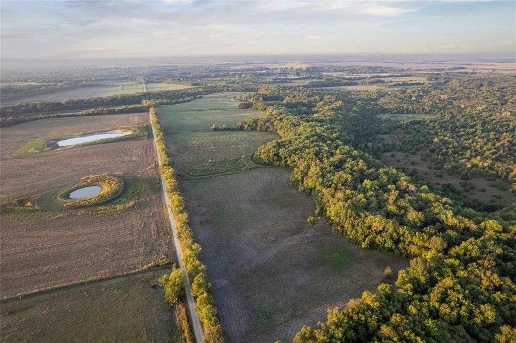 93.48 acres in Lamar County - photo 16