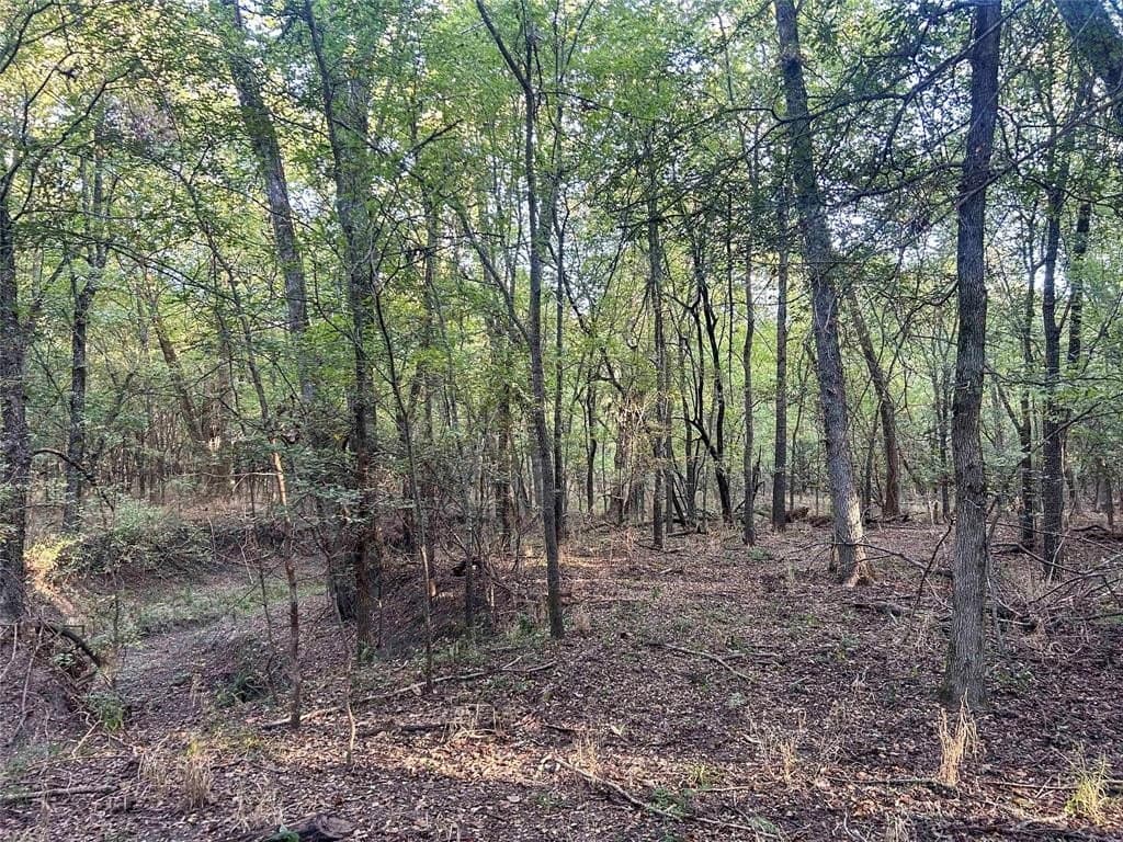 93.48 acres in Lamar County - photo 22