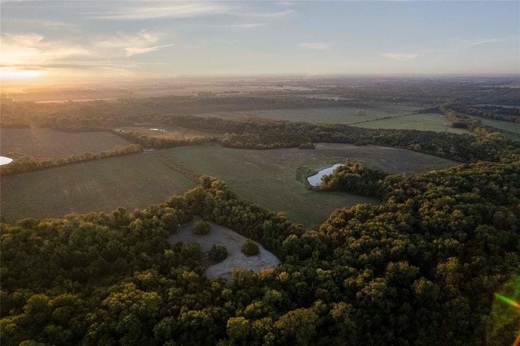 93.48 acres in Lamar County - photo 10