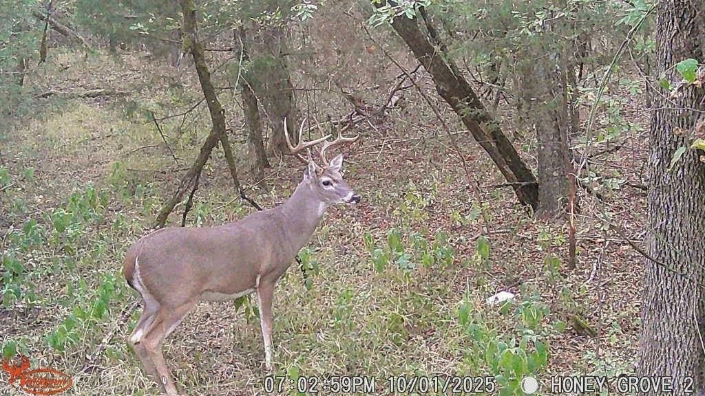 93.48 acres in Lamar County - photo 28
