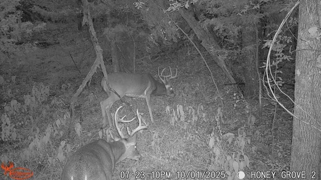93.48 acres in Lamar County - photo 31