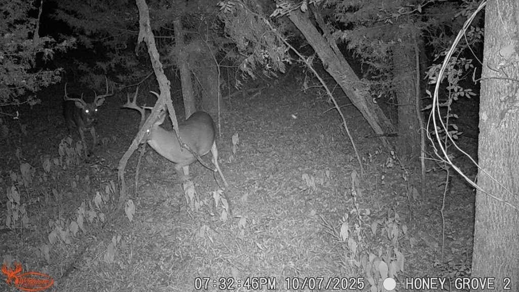 93.48 acres in Lamar County - photo 32