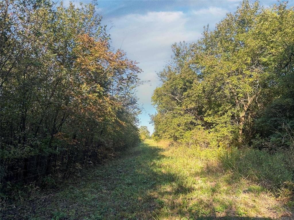 93.48 acres in Lamar County - photo 25