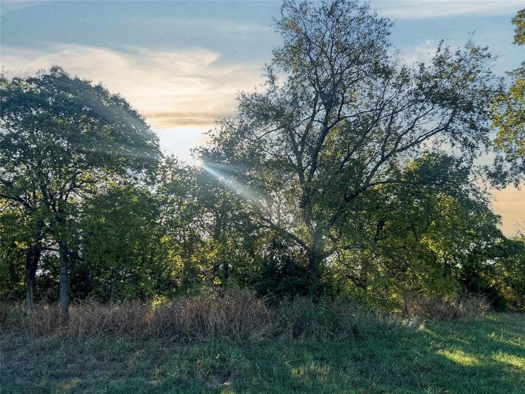 93.48 acres in Lamar County - photo 26
