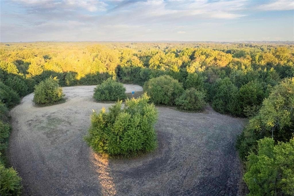 93.48 acres in Lamar County - photo 19