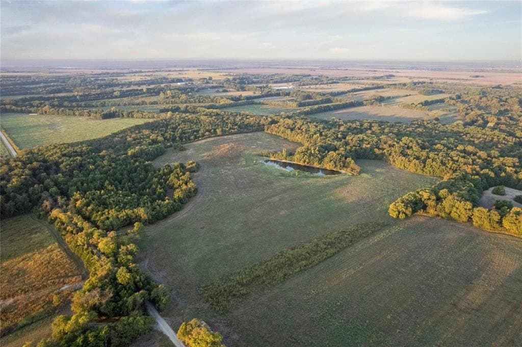 93.48 acres in Lamar County - photo 15
