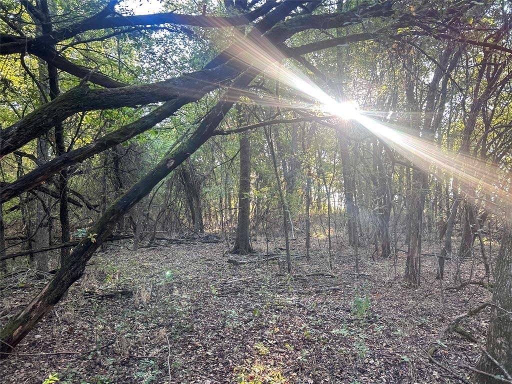 93.48 acres in Lamar County - photo 13