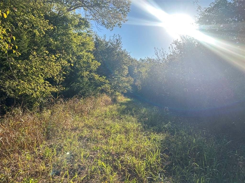 93.48 acres in Lamar County - photo 24