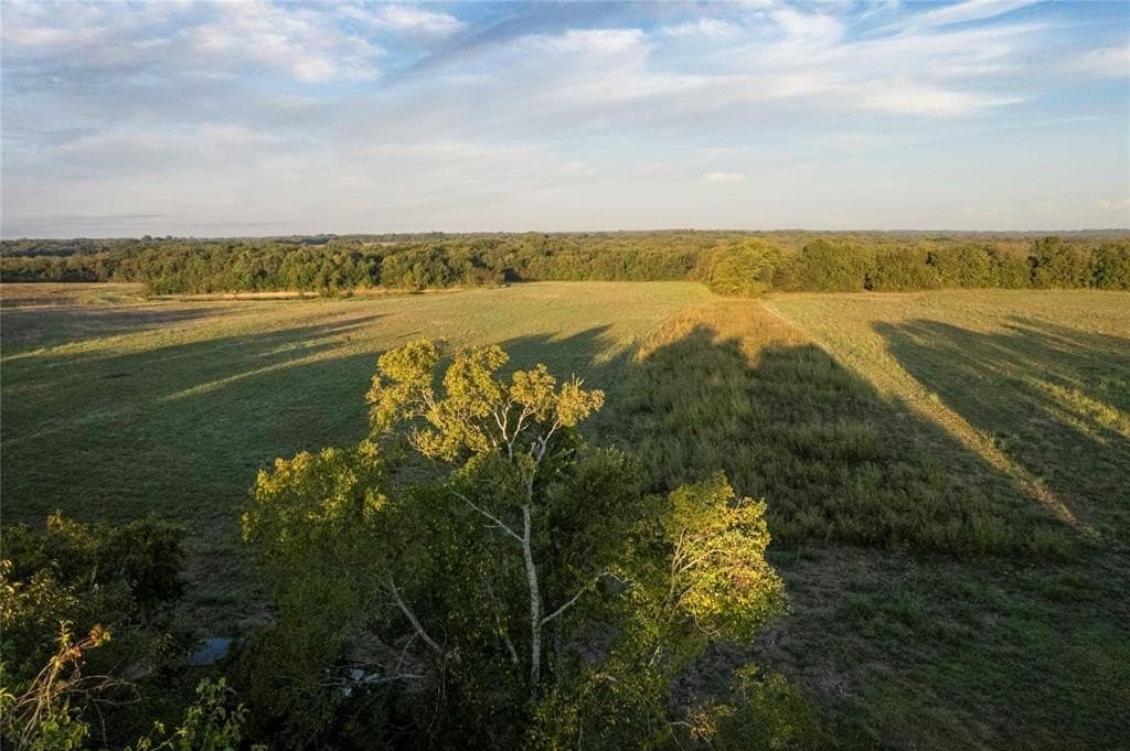 93.48 acres in Lamar County - photo 21