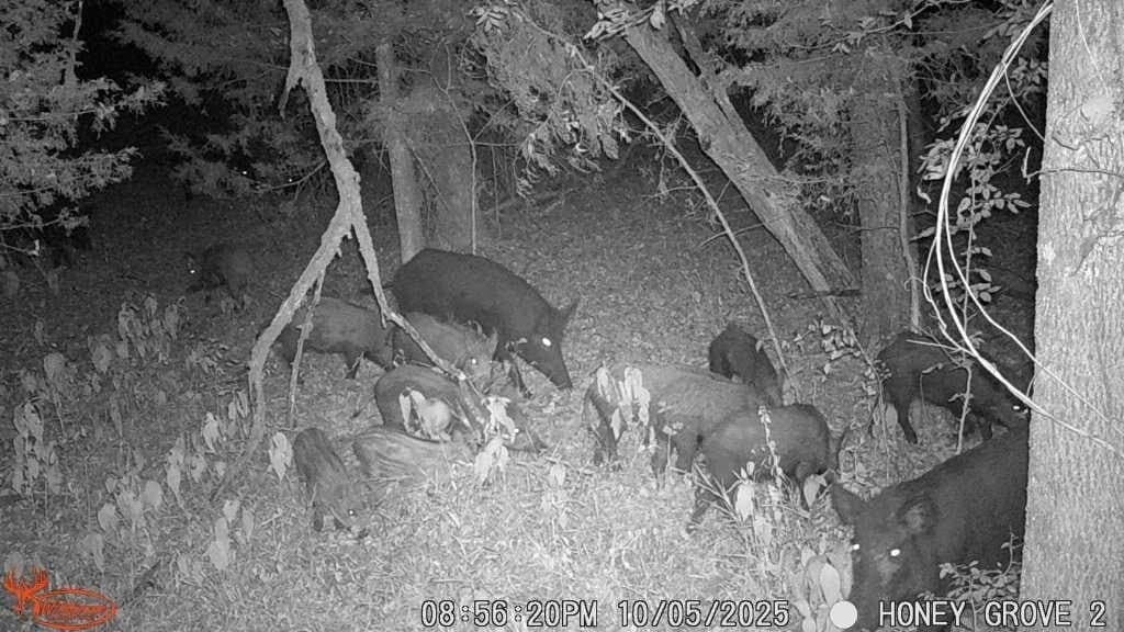 93.48 acres in Lamar County - photo 30
