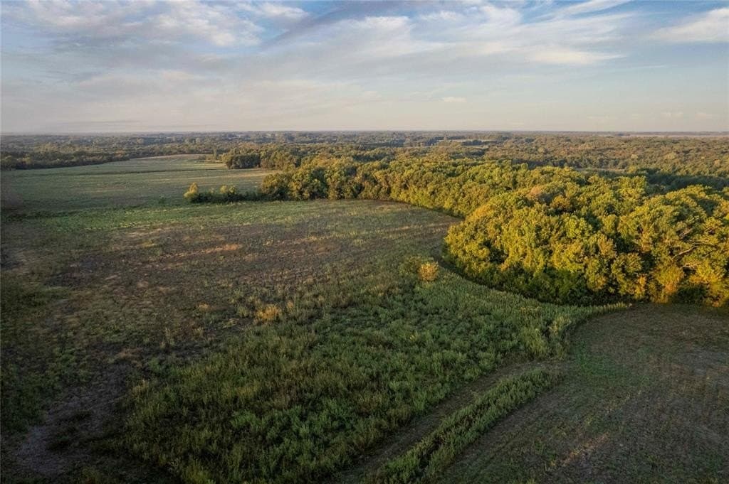 93.48 acres in Lamar County - photo 18