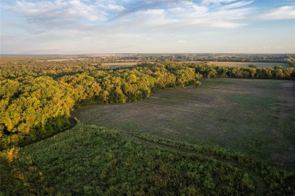 93.48 acres in Lamar County - photo 23