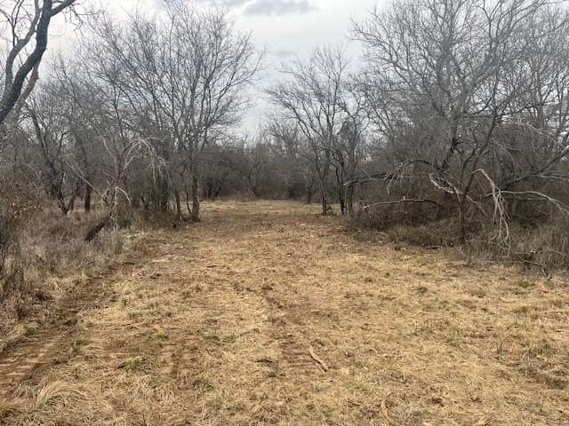17.18 acres in Jack County - photo 3