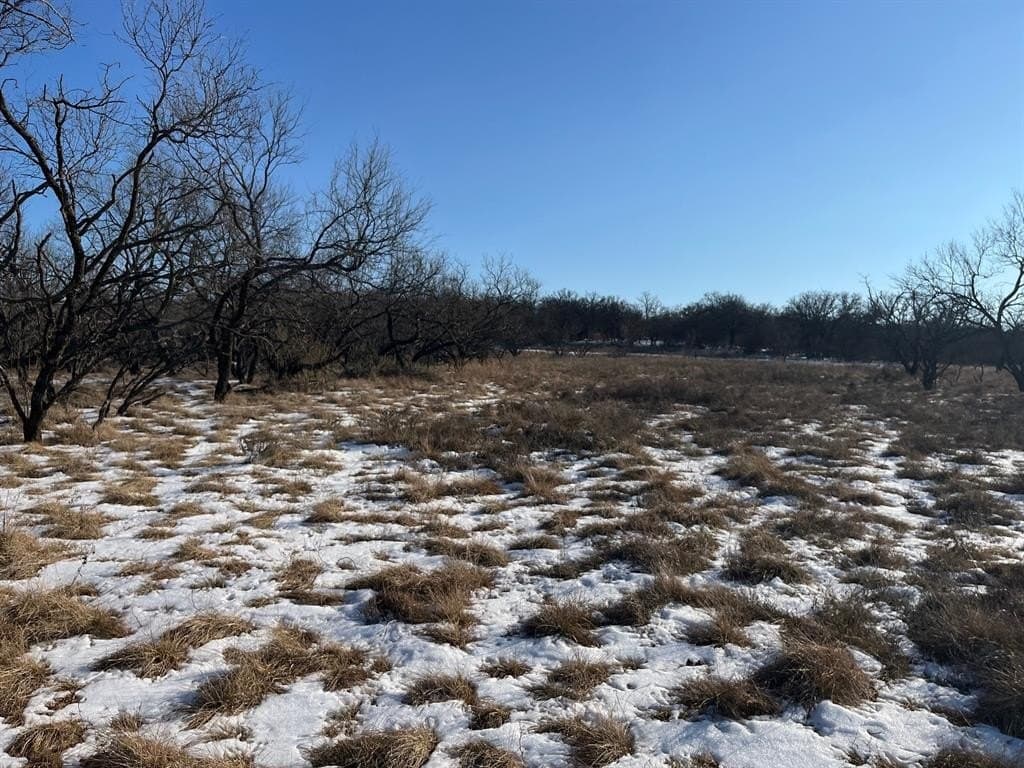 17.18 acres in Jack County - photo 9