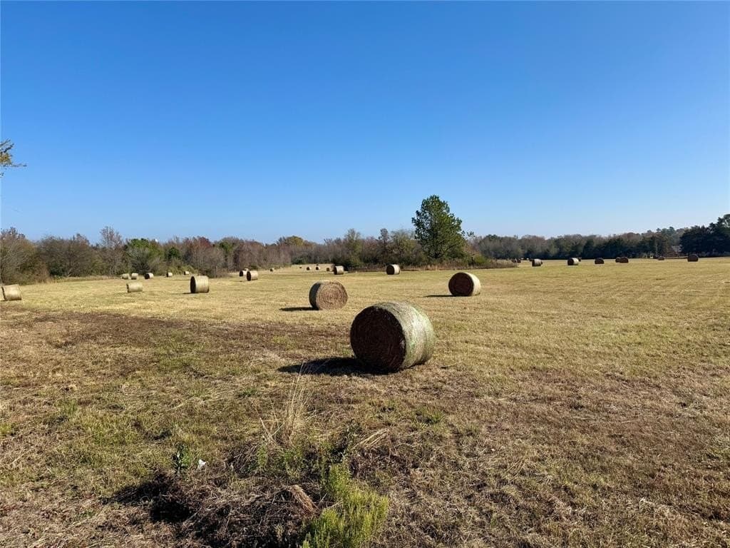 56.97 acres in Wood County - photo 20