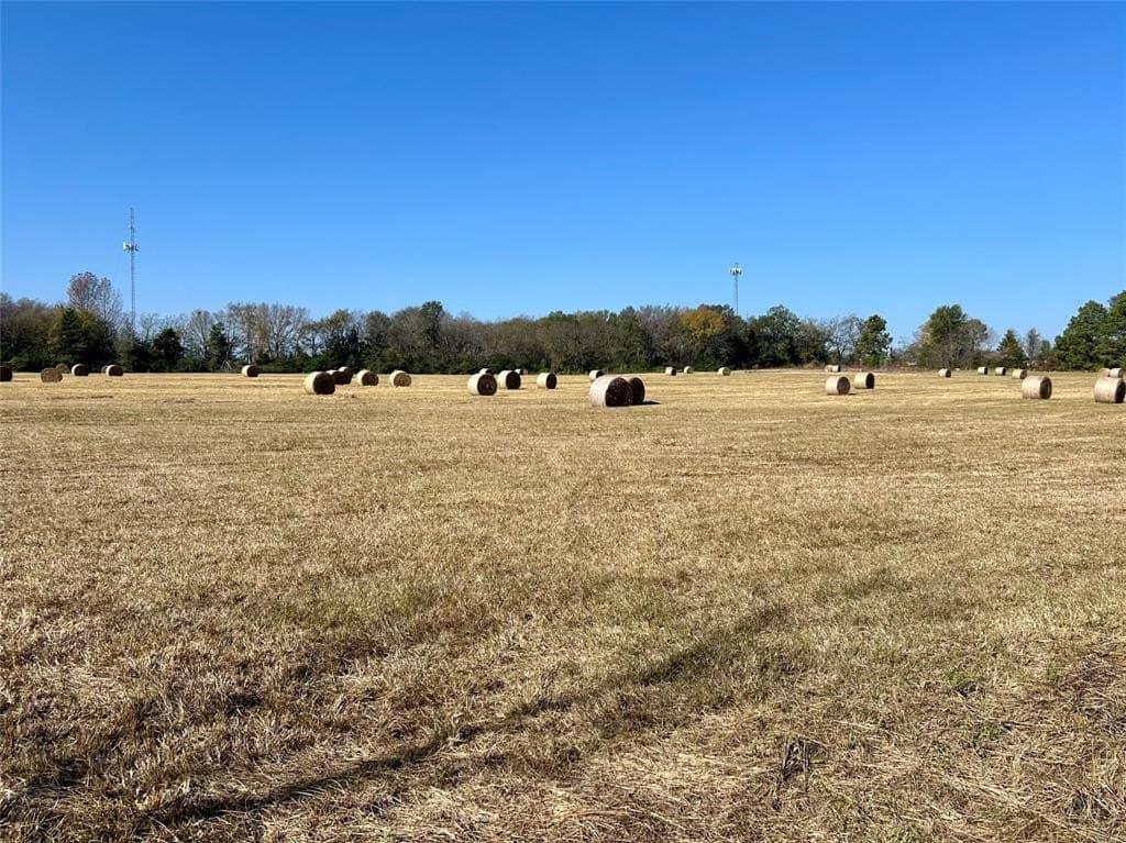 56.97 acres in Wood County - photo 19