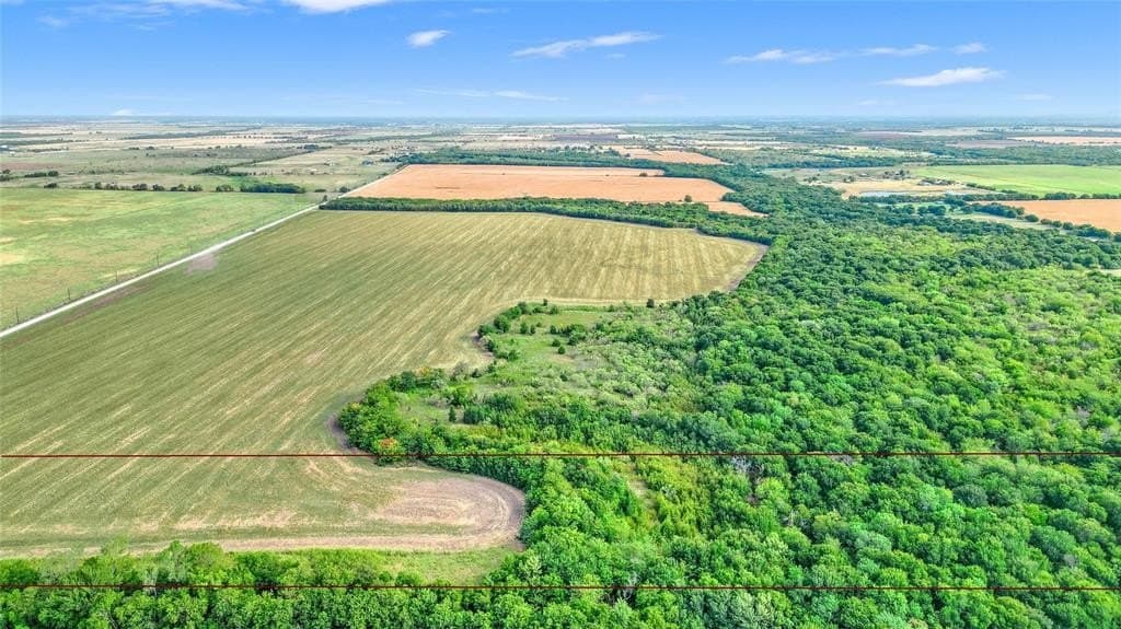 20 acres in Grayson County - photo 3