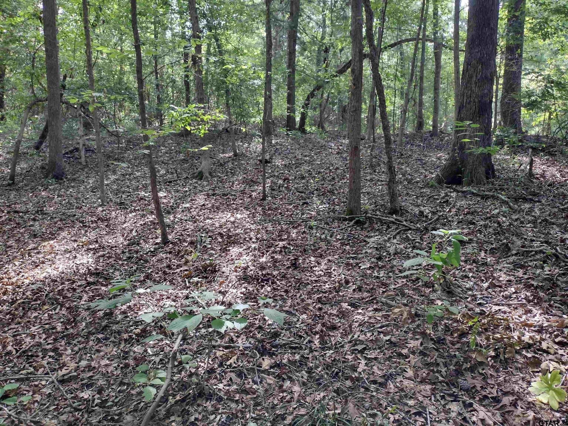 14.86 acres in Marion County - photo 3