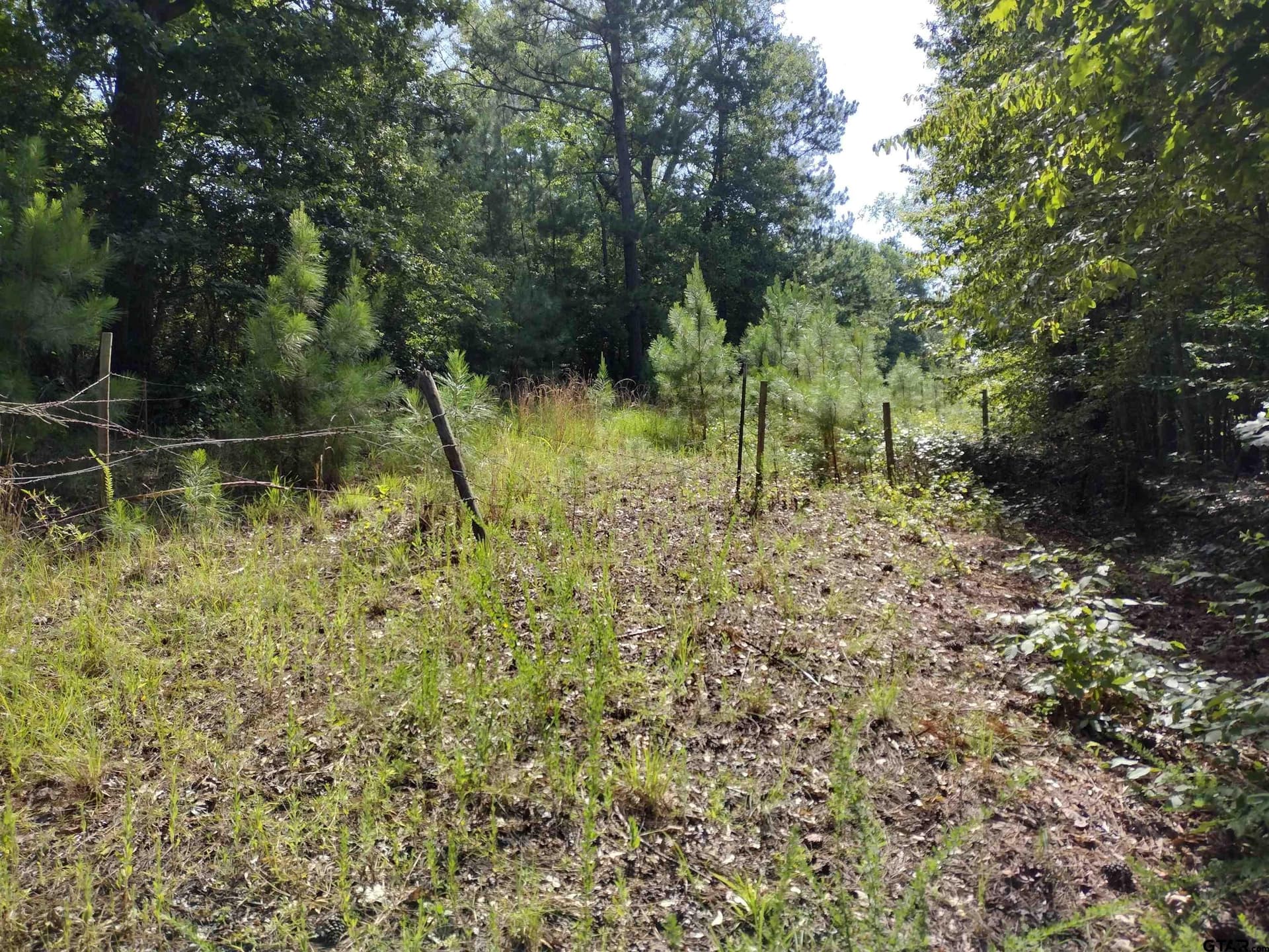 14.86 acres in Marion County - photo 2