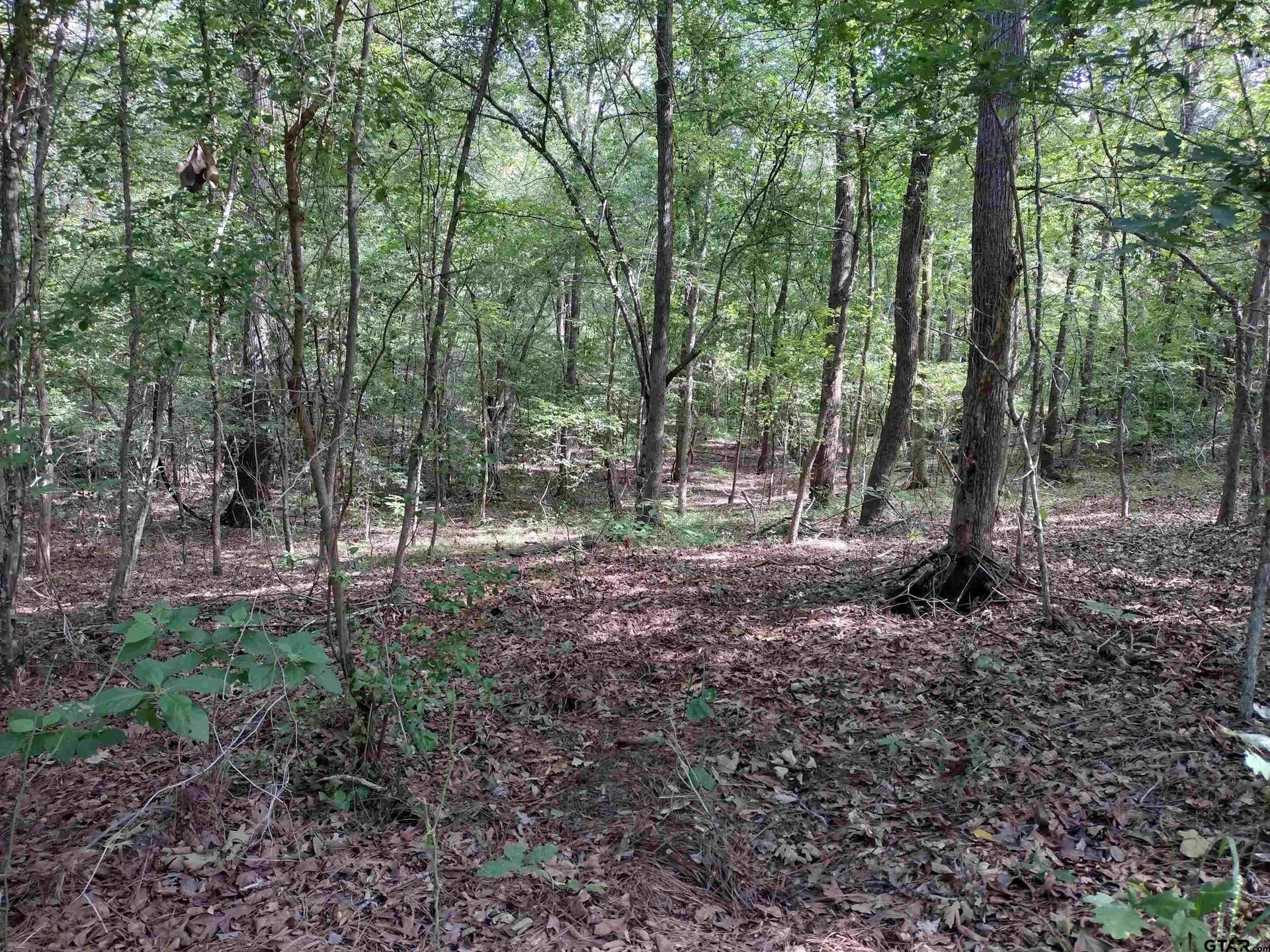 14.86 acres in Marion County - photo 4