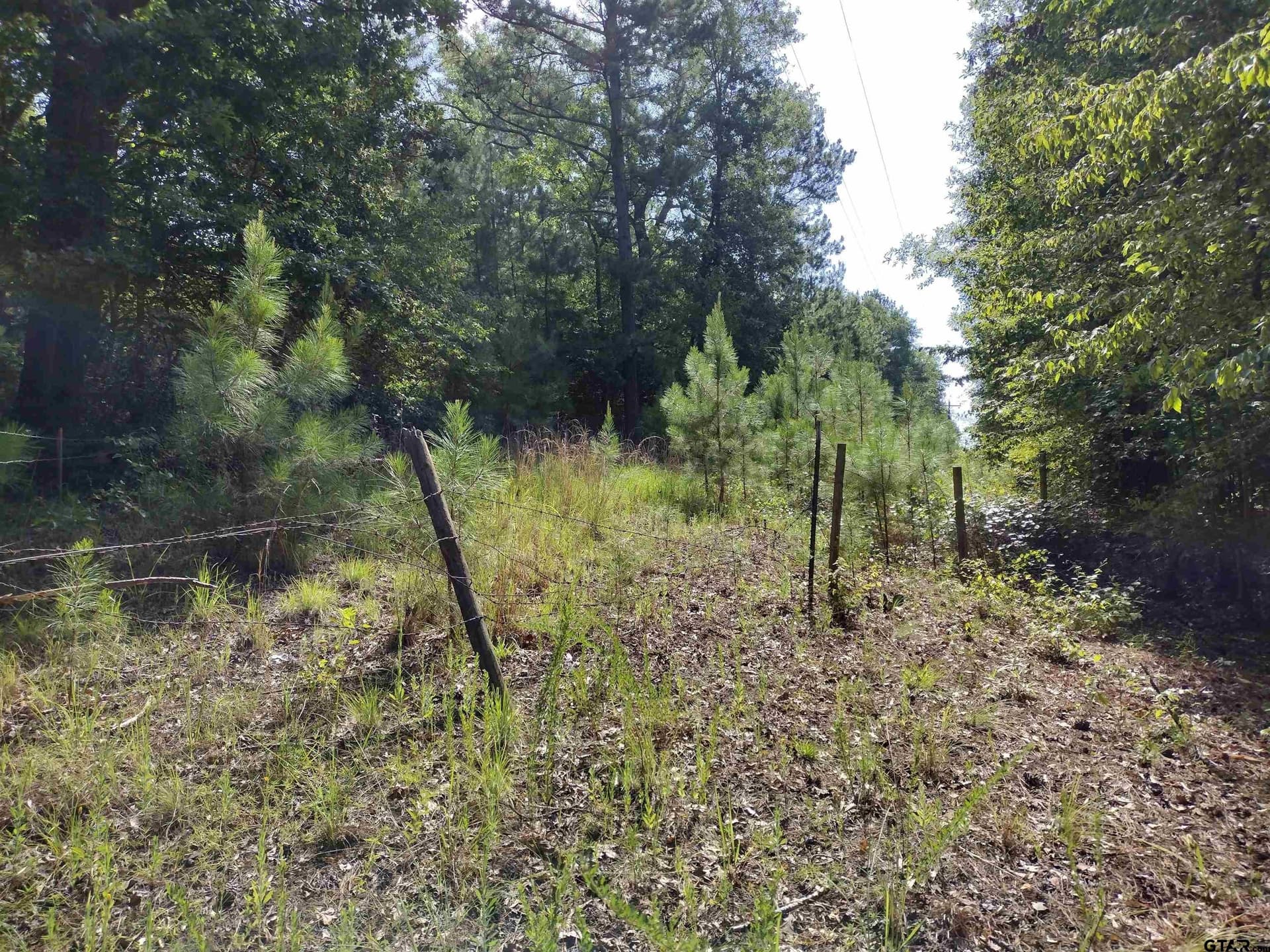 14.86 acres in Marion County - photo 5