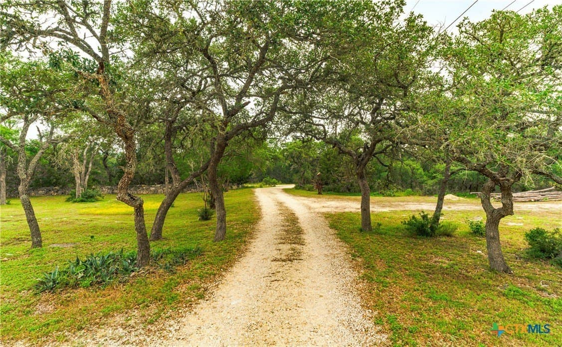 20 acres in Hays County - photo 5
