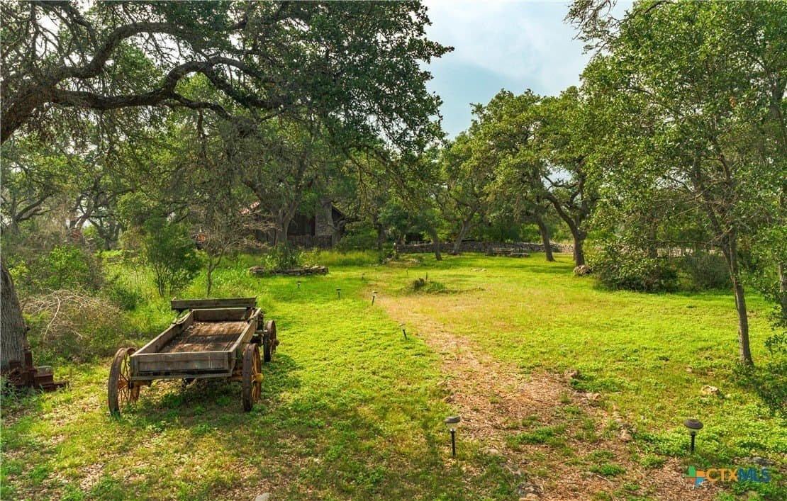 20 acres in Hays County - photo 33