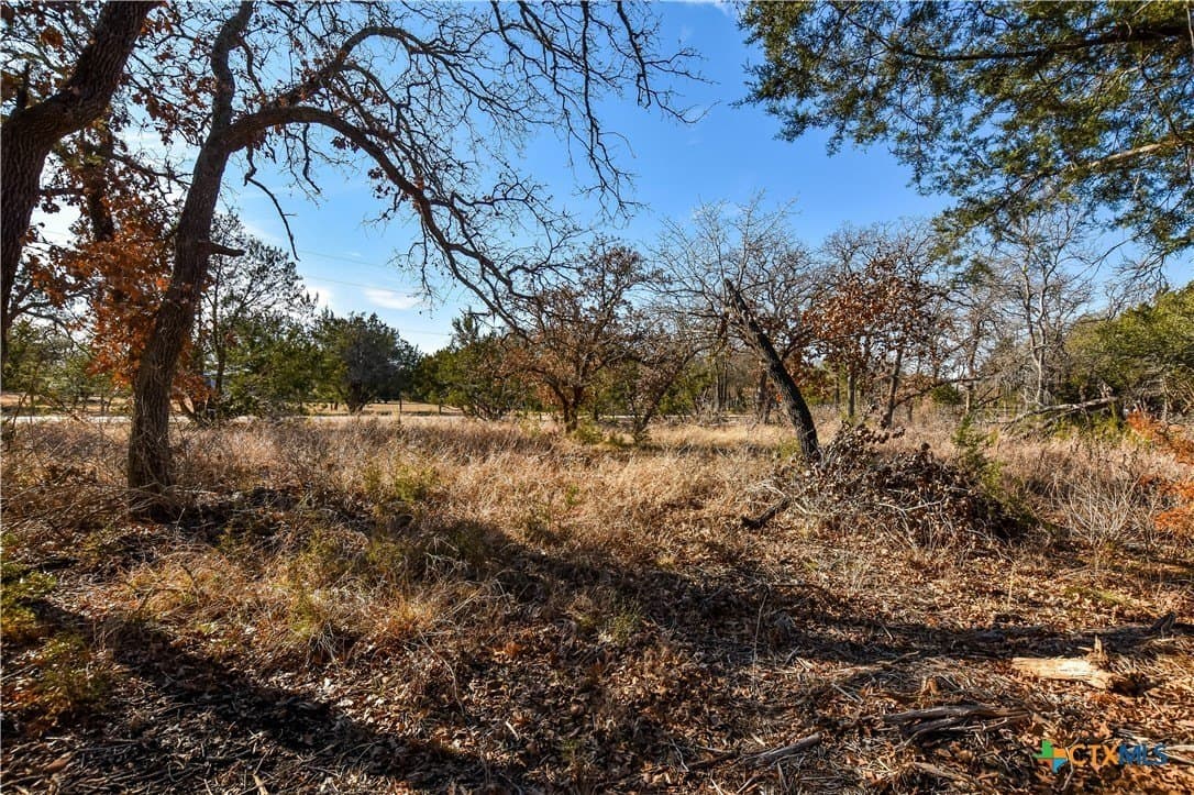 2.16 acres in Williamson County - photo 5