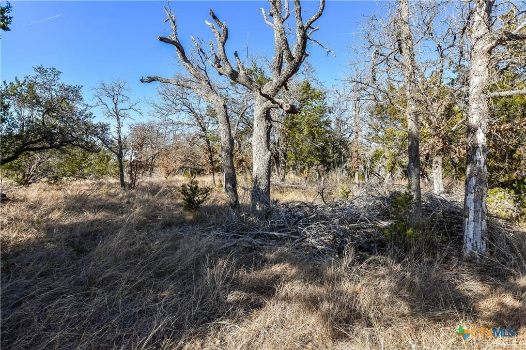 2.16 acres in Williamson County - photo 4