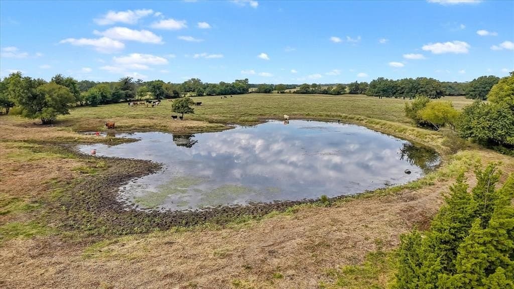 33 acres in Fannin County - photo 28