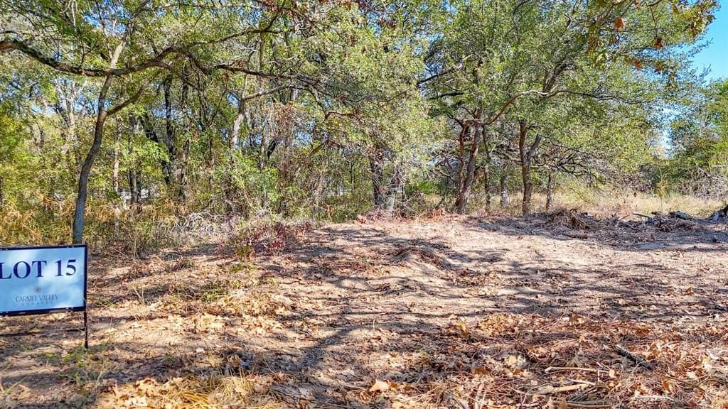 1.06 acres in Navarro County - photo 13