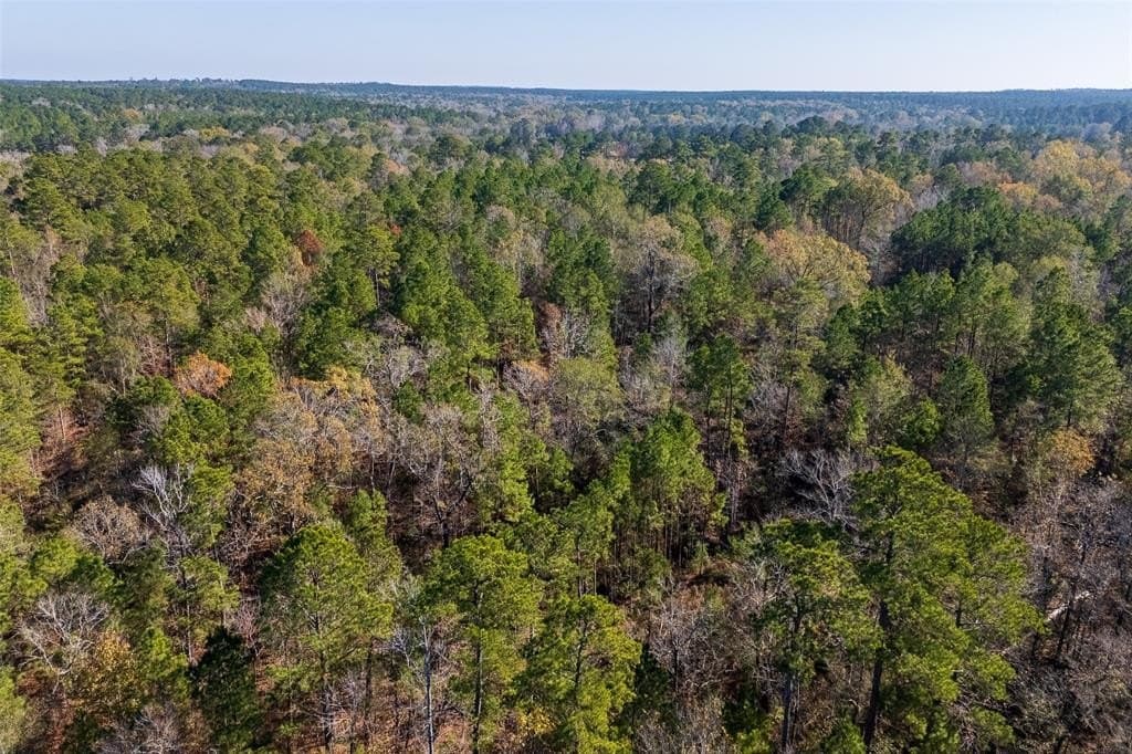 51.5 acres in Houston County - photo 22