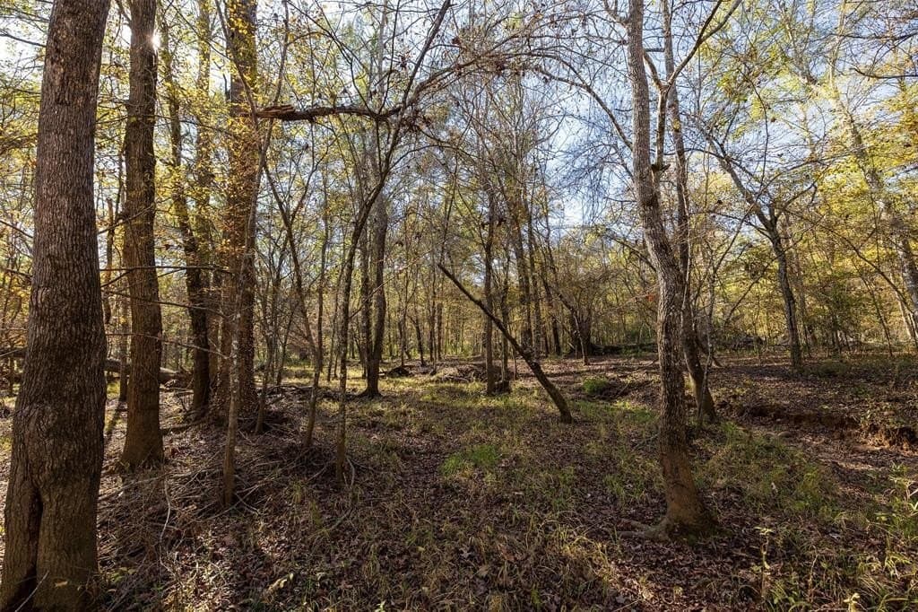51.5 acres in Houston County - photo 3