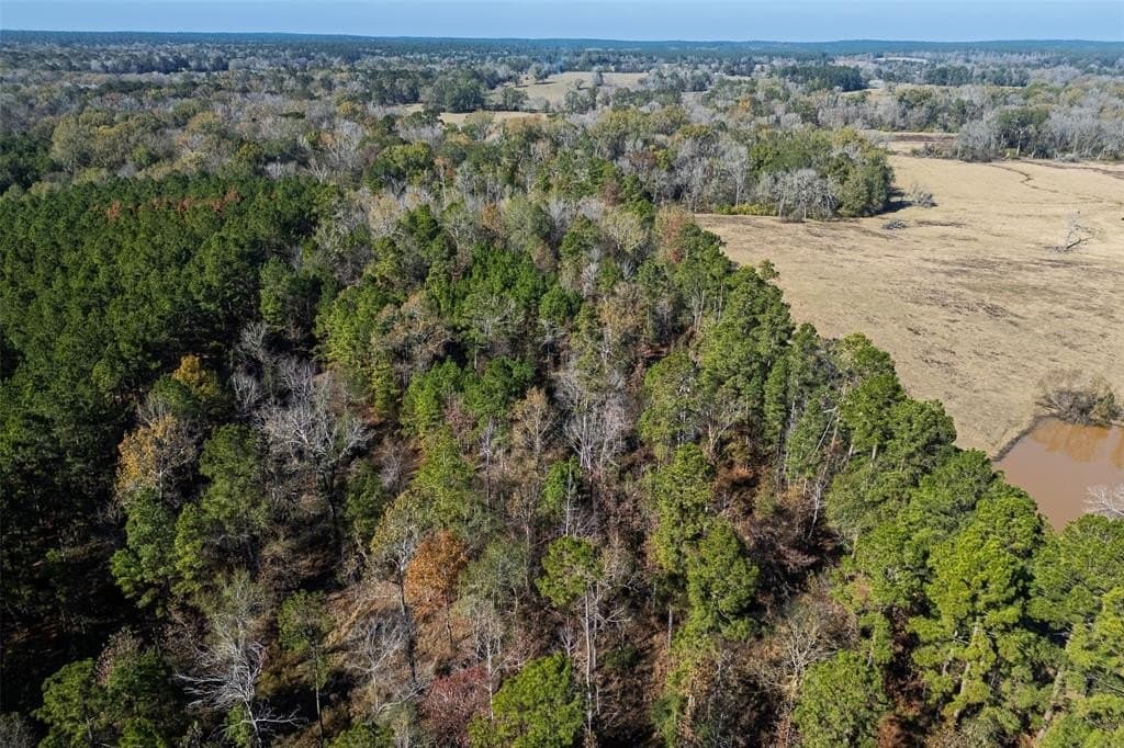 51.5 acres in Houston County - photo 23