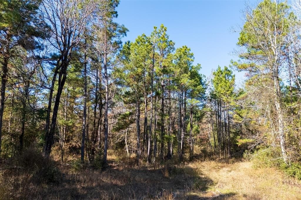 51.5 acres in Houston County - photo 14