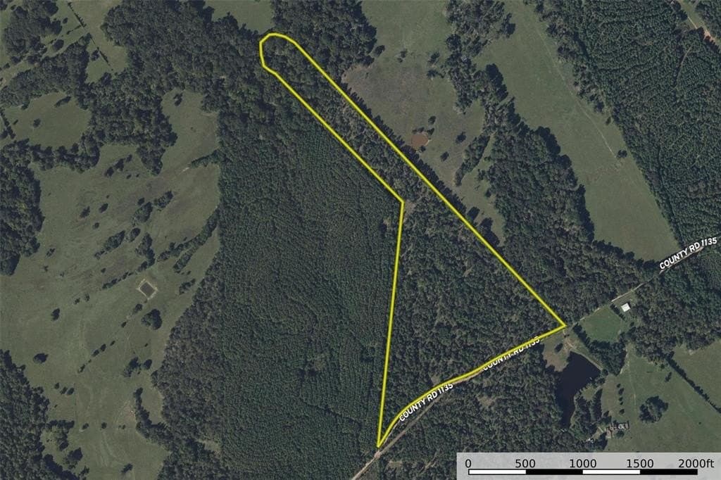 51.5 acres in Houston County - photo 27
