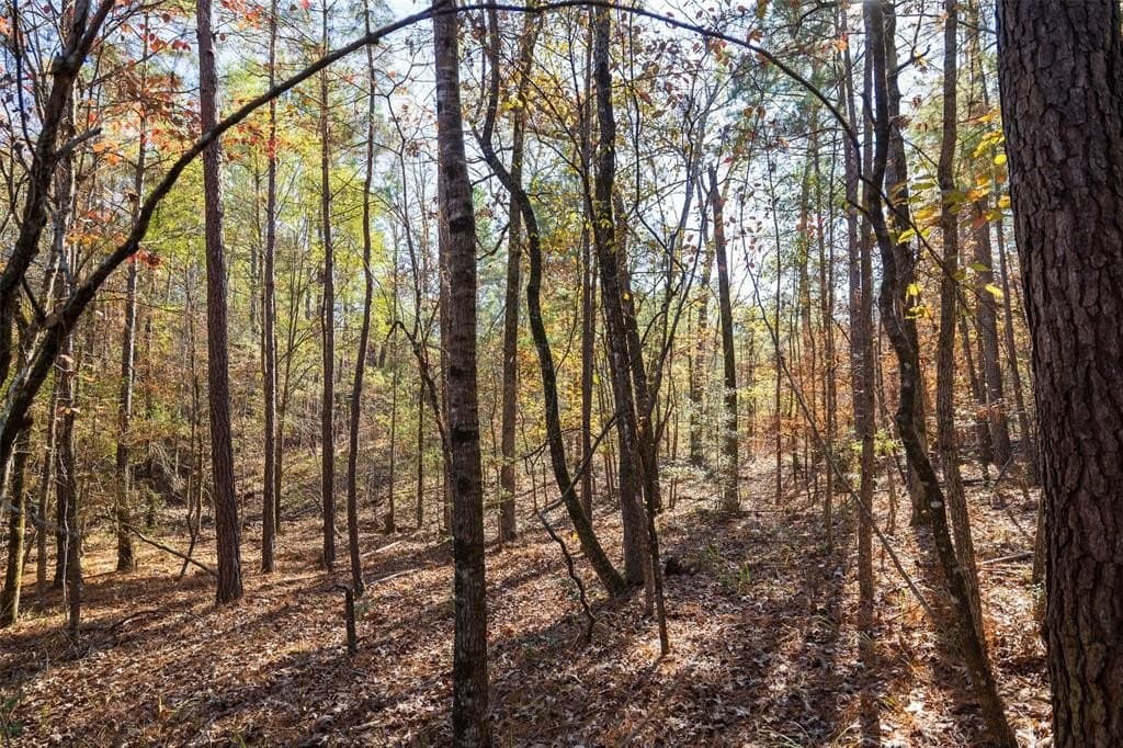 51.5 acres in Houston County - photo 12
