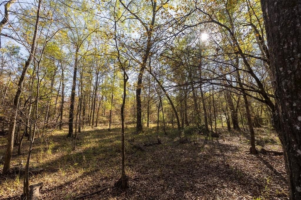 51.5 acres in Houston County - photo 5