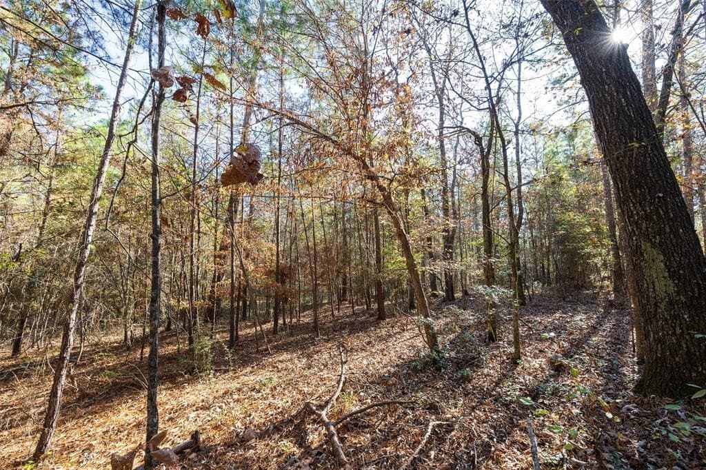 51.5 acres in Houston County - photo 11