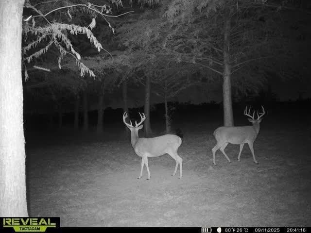 6.08 acres in Collin County - photo 16