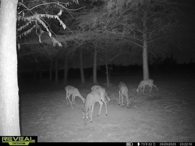 6.08 acres in Collin County - photo 19